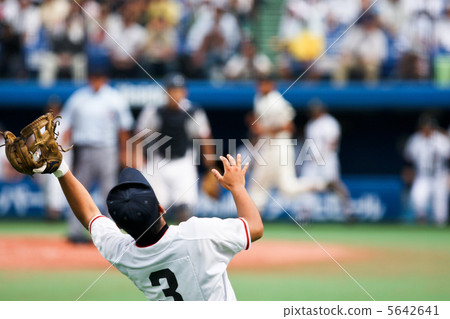 high school baseball  5642641