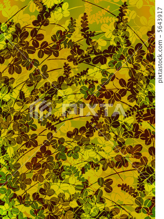 Graphic pattern Graphic pattern 5643917