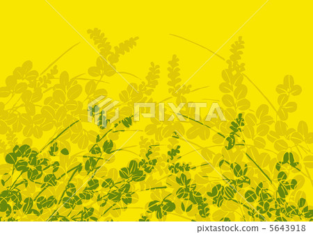 Graphic pattern Graphic pattern 5643918