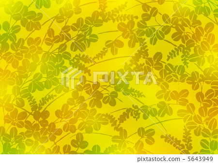 Graphic pattern 5643949