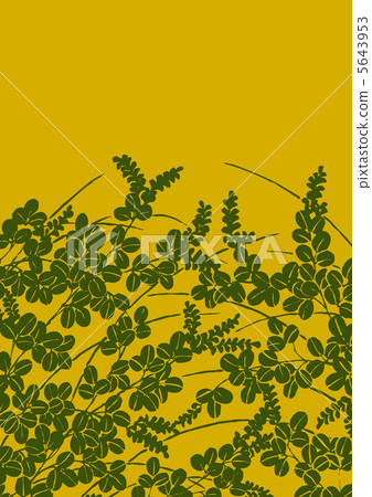 Graphic pattern 5643953