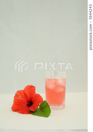 Hibiscus Hibiscus 5644243