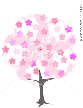 櫻花樹 5644346