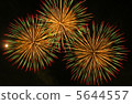 Fireworks 10 5644557