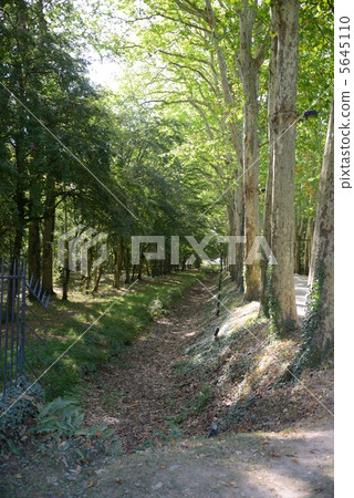 France Chenonceau Castle 5645110