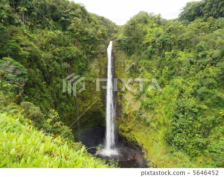 akaka falls, waterfall, hawaiian islands 5646452