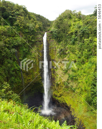akaka falls, waterfall, hawaiian islands 5646453