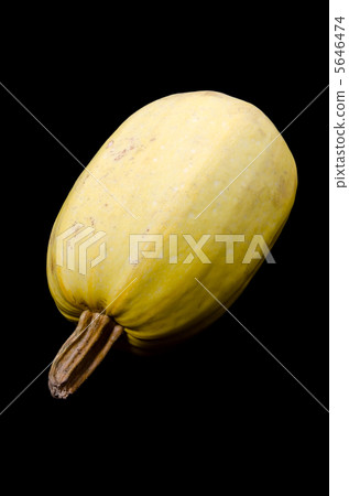 Somen no pumpkin 5646474