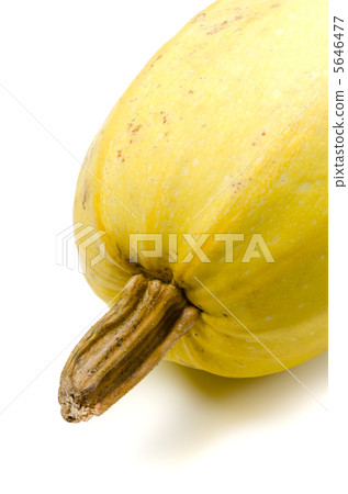 Somen no pumpkin Somen no pumpkin 5646477