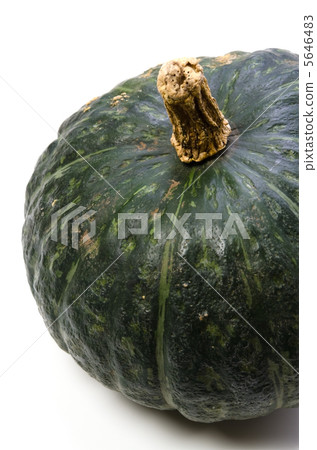 南瓜 南瓜 5646483