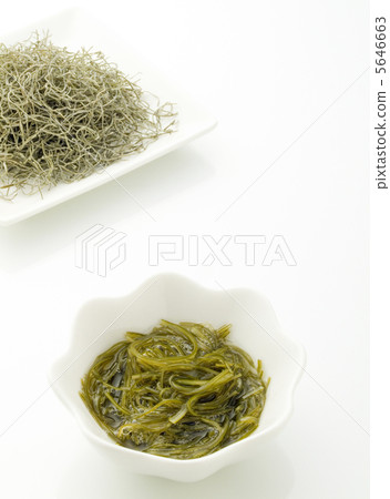 Kjellyfish Kelp 5646663