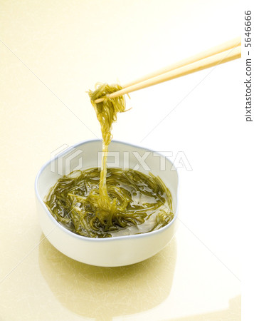 Kjellyfish Kelp 5646666