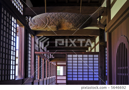 Takaoka walking · Zuiryuji Zen temple Takaoka walking · Zuiryuji Zen temple 5646692