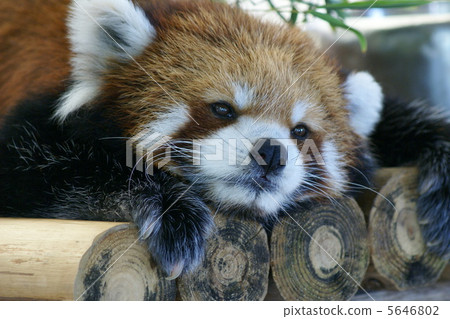 當我想。 5646802