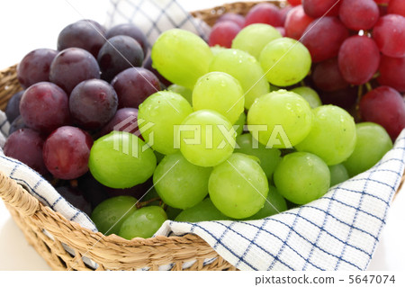 Grape basket 5647074