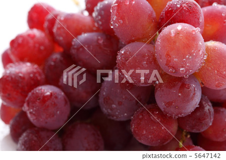 Grape 5647142