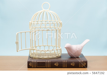 鳥和書在書上 5647192