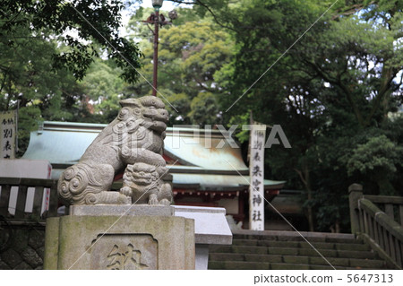 Komon狗Kinomiya Shrine 5647313