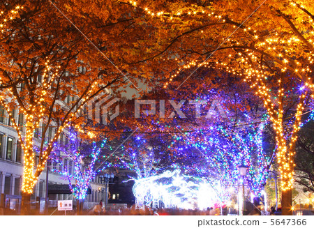 Illuminations Osaka Hikari's Renaissance LED Gate Illuminations Osaka Hikari's Renaissance LED Gate 5647366