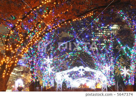 Illuminations Osaka Light's Renaissance light gate 5647374