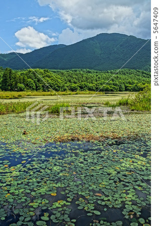 Kanonuma Forest Park Kanonuma Forest Park 5647409
