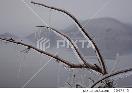 Branches and Ice Branches and Ice 5647845