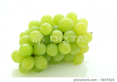 Grape 5647928
