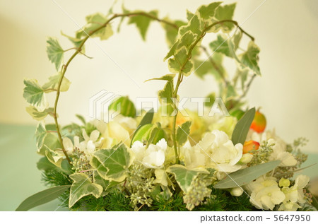 Fresh flower lease 7 5647950