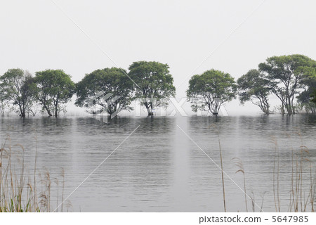 琵琶湖·湖北地區的風景 5647985