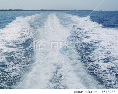 Wake Wake 5647987