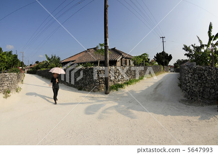 Taketomijima coral sand road Taketomijima coral sand road 5647993