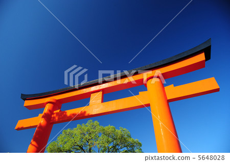 朱紅色鳥居 5648028