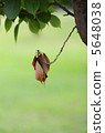 Life and death 5648038