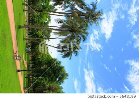 河內統一公園 河內統一公園 5648199