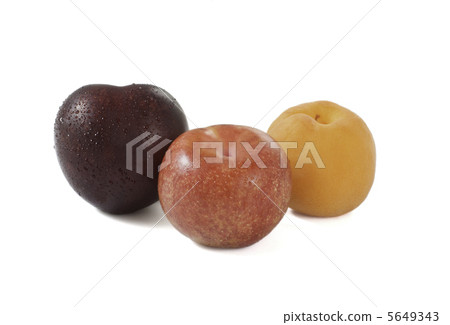 Sumomo（左），拉oct（sumomo和杏的混合水果，中間），杏（右） 5649343