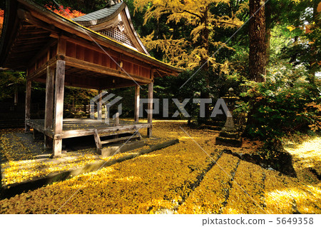 岩下落葉神社 5649358