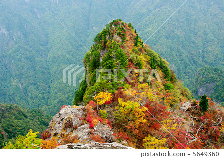 秋天色彩秋葉 秋天色彩秋葉 5649360