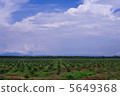 農業用地和天空 5649368