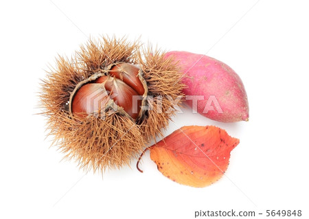 秋天的味道 5649848