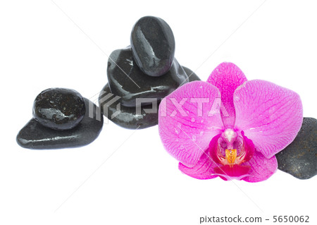 zen stones and orchid zen stones and orchid 5650062