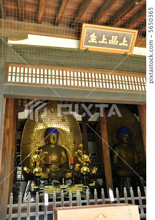 Nine goods Buddha Joshinji 5650365