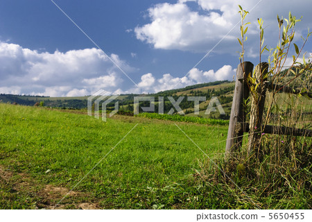 Rural landscape with fence Rural landscape with fence 5650455