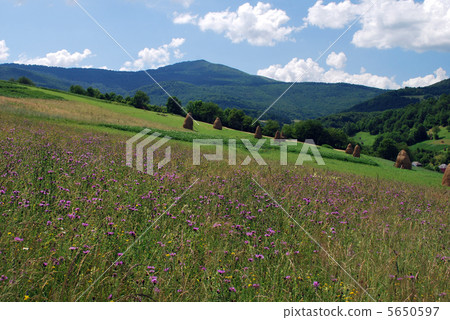 The fields are in the mountains The fields are in the mountains 5650597