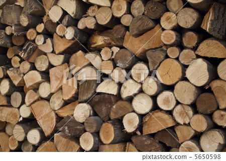 Firewood 5650598