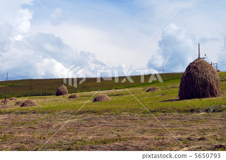 The fields are in the mountains 5650793