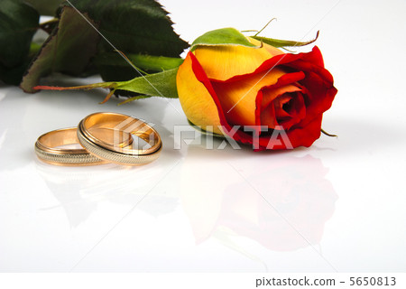 Rose and rings Rose and rings 5650813