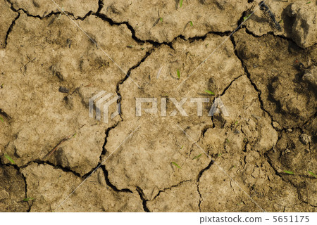 Dry soil texture 5651175