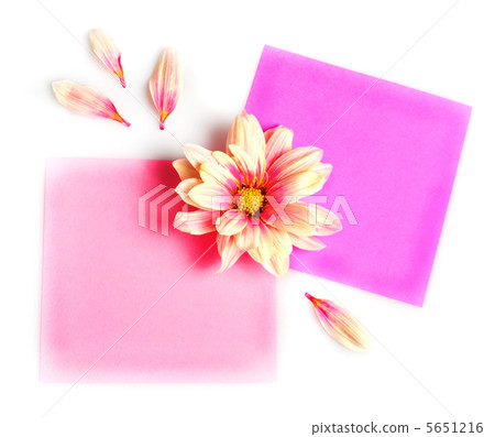 Stickers with flowers 5651216