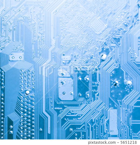 The microchip The microchip 5651218