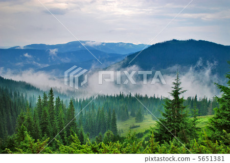 Landscape with fog Landscape with fog 5651381